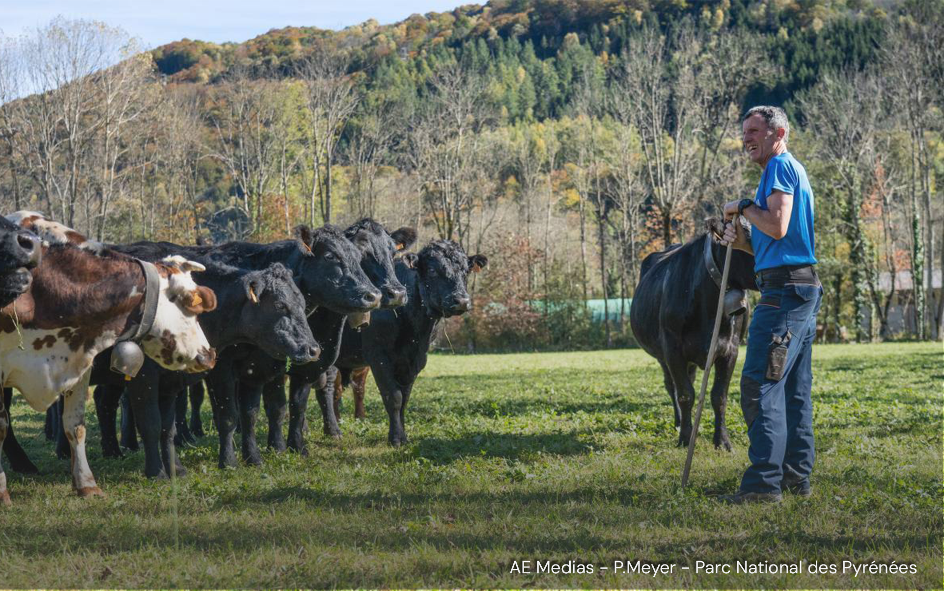 ferme-bretou-cooperative-gaves-lourdes