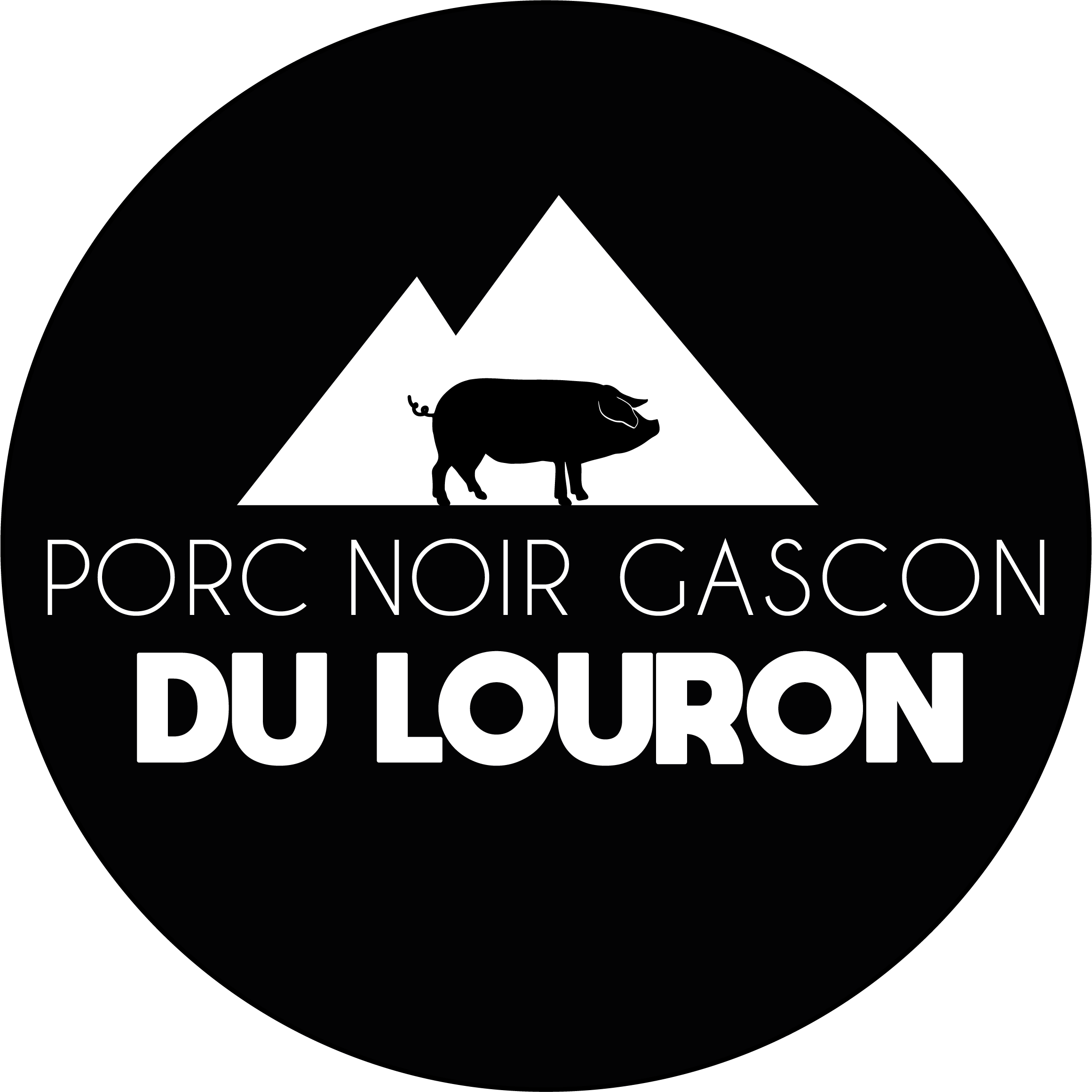 Le porc noir gascon du Louron